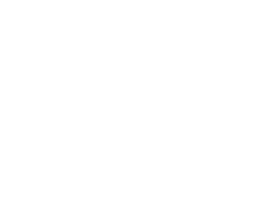 BSH logo